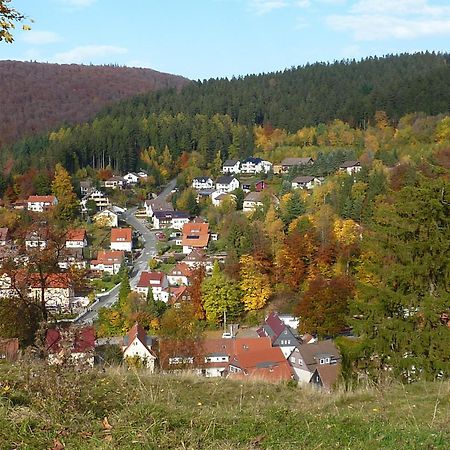 Pension Rheingold Garni باد غروند المظهر الخارجي الصورة